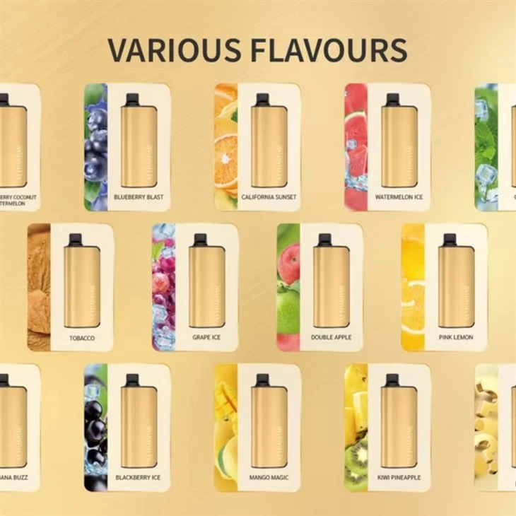 Alibarbar Vape 9000 Puffs vape 9k puff factory